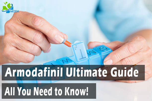 armodafinil informations